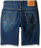 Big 505 Regular Fit Cutoff Denim Shorts Moonlite 18